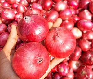 *AL_MADINA TREDERS* #Onion Available Export & Domestic# *Export_Quality_Fresh_Red_White & Pink _On