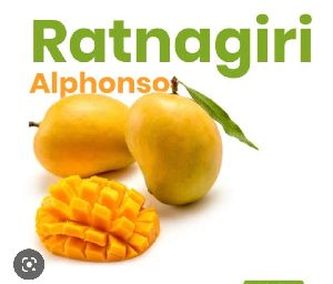 Ratnagiri Alphonso Mango