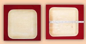 SD 09 Areca Leaf Square Deep Plates