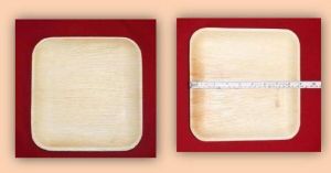 SS 09 Areca Leaf Square Shallow Plates