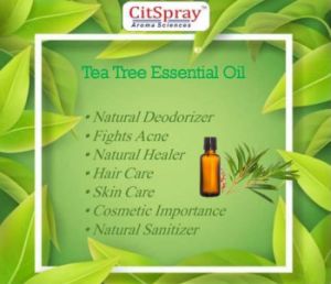 Tea Tree Essential Oil