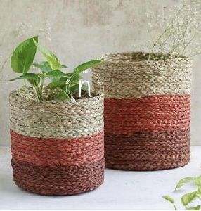 Sabai Grass Planter