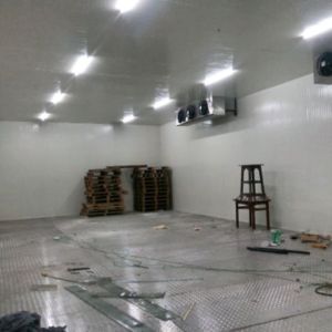 cold storage installation services