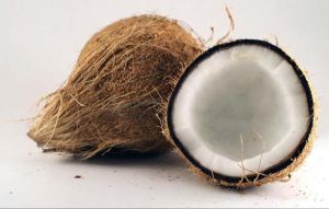 coconut semi husked