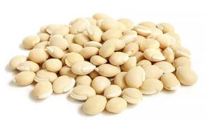 White Field Beans