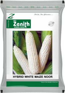 Noor Hybrid White Maize Seeds