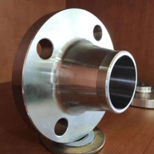 Stainless Steel Flanges