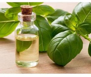 Basil Oil