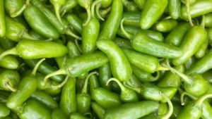 Fresh Bullet Green Chilli