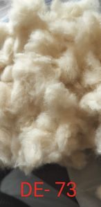 Cotton Fiber