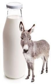 FRESH DONKEY MILK