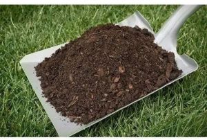 Organic Cow Dung Manure