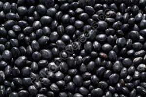 Dried Black Bean
