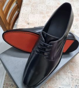 Leather Shoes