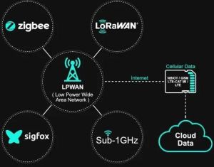 wireless sensor network trainer