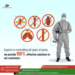 indoor mosquito control service