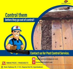 termite control services