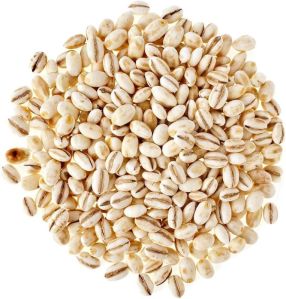 Hulled Barley Seeds