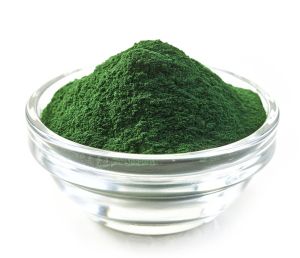 Dried Spirulina Powder