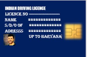 renewable of driving license service
