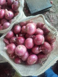 Red Onion