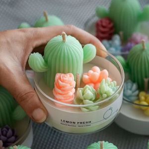 Mini Cactus Candles