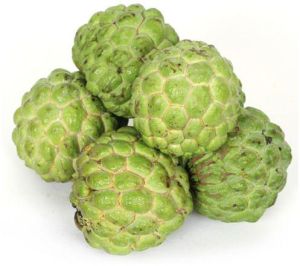 Frozen Custard Apple