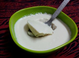 Soya Curd