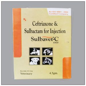 Sulbavet C Injection