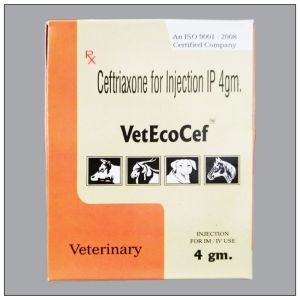 VetEcoCef 4000