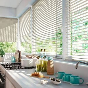 Vinyl Window Blind