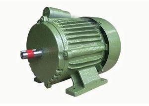 Single Phase Electric Motor