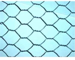 Hexagonal Wire Mesh