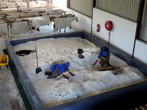 Tannery Salt