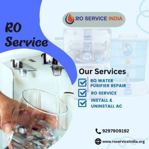 RO Purifier Repair Service