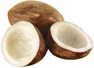 Coconut Copra