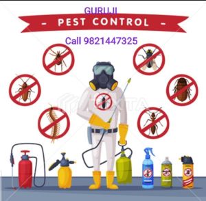 Pest Control Services