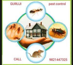 termite control treatment