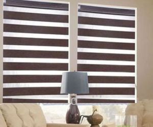 Vinyl Window Blind