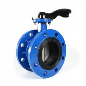 Butterfly Valve