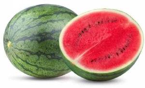 Fresh Watermelon