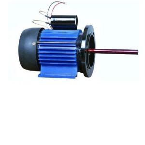 Long Shaft AC Motors