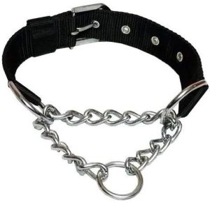 Dog Collar