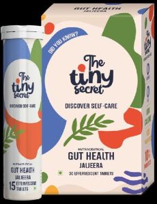 The Tiny Secret's Gut Health Fizz Jaljeera Flavour