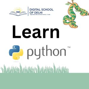 Python Programming Course