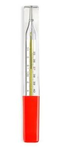 oval clinical thermometer