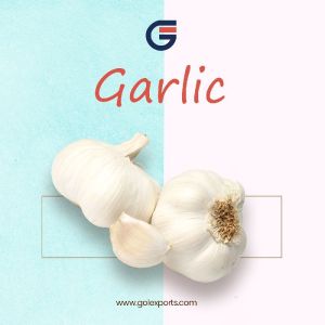 Garlic Paste