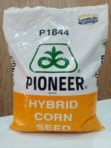 Hybrid Corn Seed