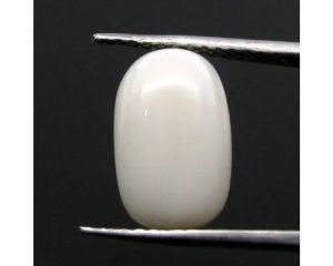 White Coral Stone