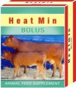 Heat Bolus